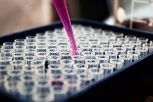 Microbiology laboratory technician conducting dialysis water bioburden analysis at C.G. Laboratories